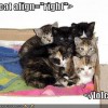 <lolcat align=right> <lolcat align=right>