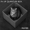 In ur quantum box... maybe In ur quantum box... maybe